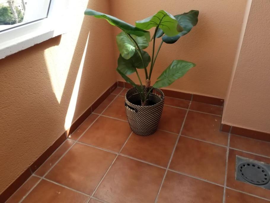 Casa Laguna 卡萨雷斯 外观 照片